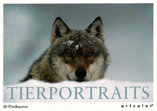 Postkartenbuch Tierportraits